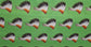 Ledger Headdress all over
