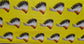 Ledger Headdress all over