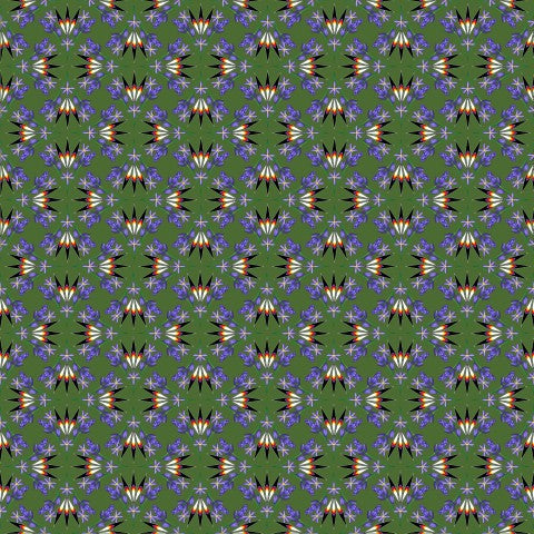 Camas Design in collaboration with Paula TopSky Houtz