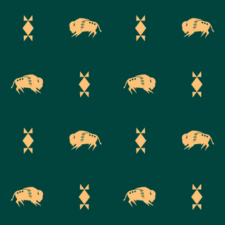 Fall Collection Buffalo Design by Paula TopSky Houtz (Copy)