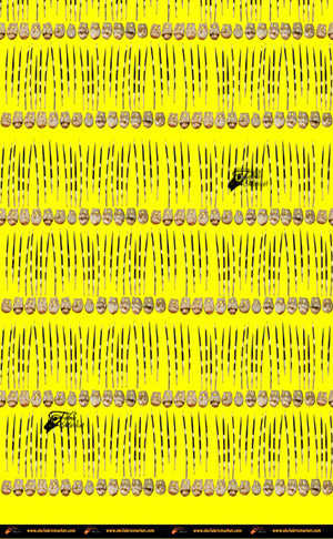 Elk Teeth and Quills