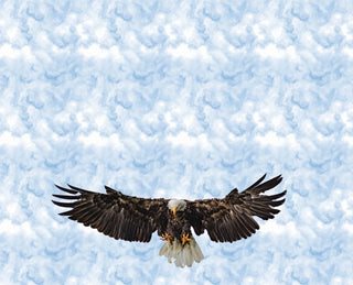 Eagle 2 yard panel
