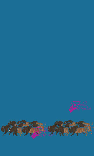 Buffalo Border