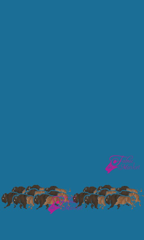 Buffalo Border