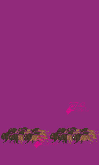 Buffalo Border
