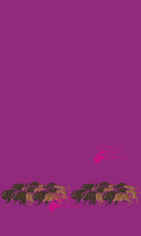 Buffalo Border