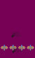 New Bird Design