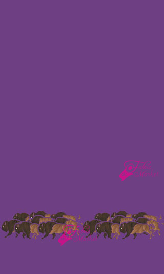 Buffalo Border