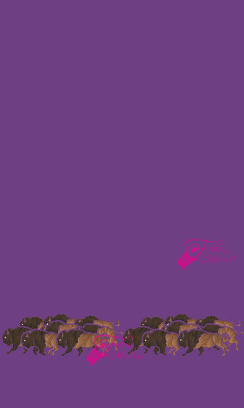 Buffalo Border