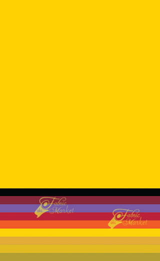 Rainbow Stripe Border Print