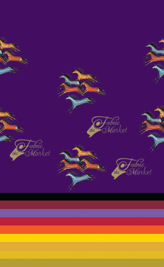 Rainbow Stripe Border Print With Ledger Horses