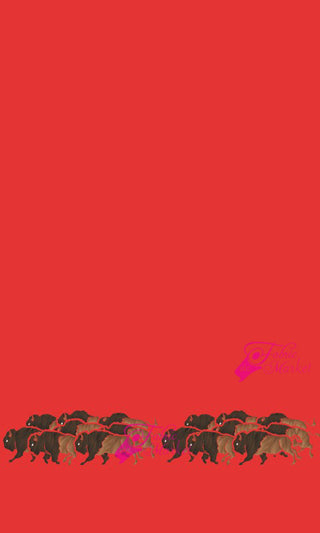 Buffalo Border