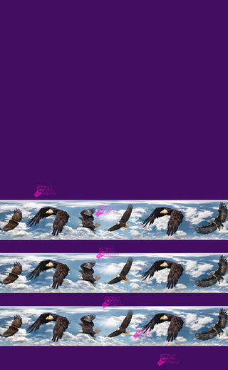 Soaring Eagle