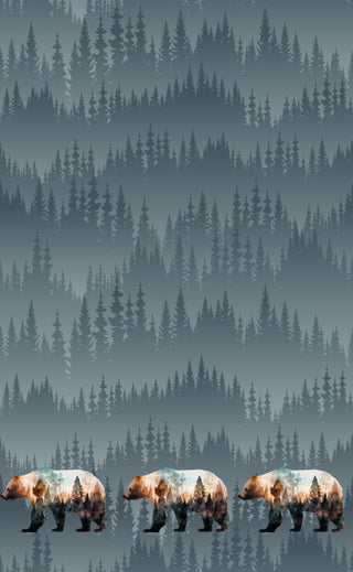 Bear Nature