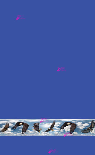 Soaring Eagle