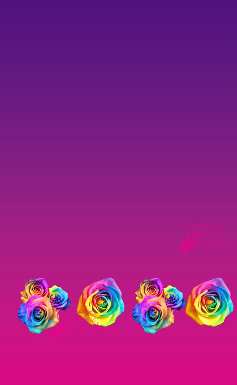 Roses Multi Color