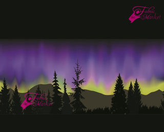 Northern Lights Border