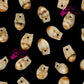 Elk Teeth Scattered all over